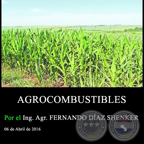 AGROCOMBUSTIBLES - Ing. Agr. FERNANDO DÍAZ SHENKER - 06 de Abril de 2016